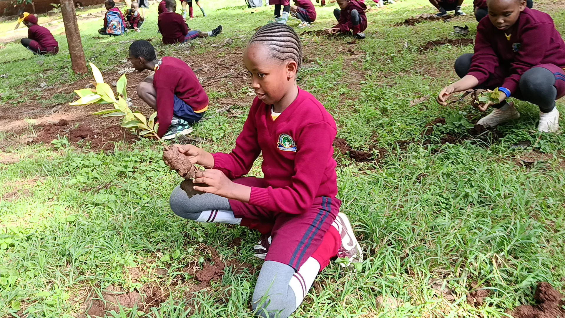 A child planting a fruit tree at a Kenyan school